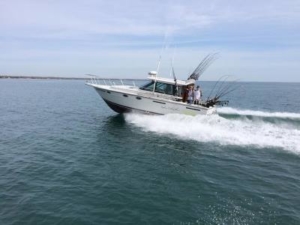 31 foot Milwaukee charter boat " title="Charter fishing Milwaukee Wisconsin
