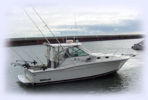 33foot Wellcraft Coastal fishing boat Lake Michigan Fishing Charters.